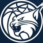 @minnesotalynx