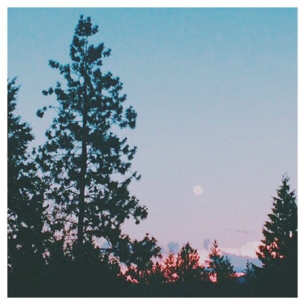 🌜🌛