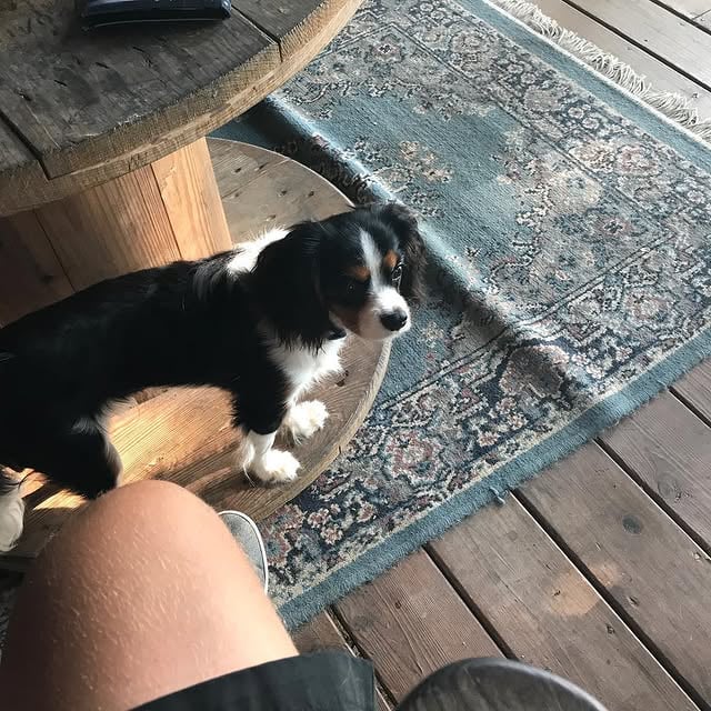 He is getting so big by @ryancedwards85