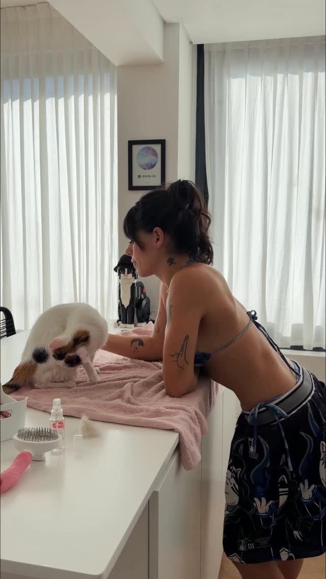 día de bañacion🐱🛁🫧