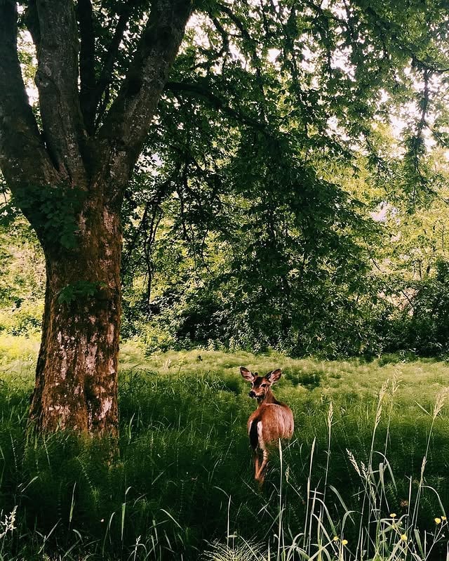 made friends on national park day