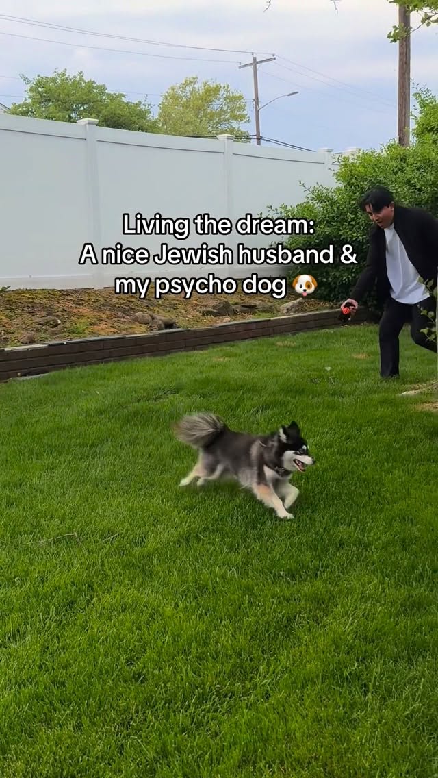 He was trying to get a cute video of @thatrelatablepomsky 😆#jewish #jewishlife #jewishfamily #jewishcouple #jewishthings by @thatrelatablejew