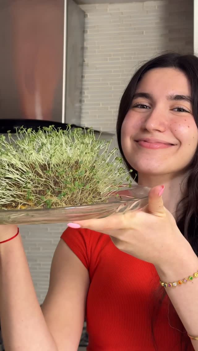 RESULTADO DD LA CHÍA 🌱😮 by @janinch11