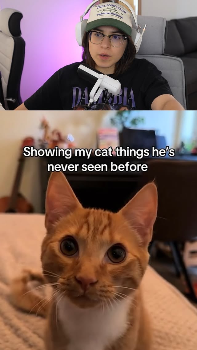 mostrando ao meu gato coisas que ele nunca viu... by @lilsmarques