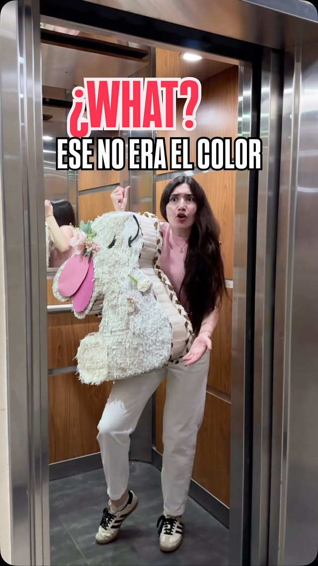 No es tu pedido 🐇🦖🤣🤣 @pinatas_gamaa by @janinch11