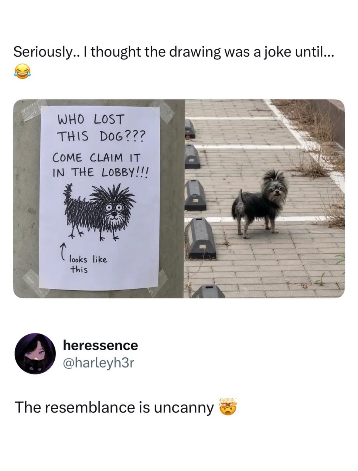 This is wild 😭

The right to put up signs for things like a lost dog, a garage sale, political messages, or personal opinions is generally protected by the First Amendment to the United States Constitution, which guarantees freedom of speech. Courts have repeatedly recognized that yard signs and similar displays are a form of expression. In the landmark Supreme Court case City of Ladue v. Gilleo (1994), the Court ruled that cities cannot broadly ban homeowners from displaying signs on their own property because signs are an important and unique way for people to communicate their messages. (The Free Speech Center)

However, First Amendment protection is not unlimited. Local governments may impose reasonable, content-neutral rules about the time, place, and manner of signs, such as restrictions related to traffic safety, size, or placement. For example, a city may regulate where garage-sale signs or lost-dog posters can be posted, but it generally cannot favor one message over another. Political signs receive especially strong protection because they are considered “core political speech,” while personal signs, including lost-pet notices and other noncommercial messages, are also protected forms of expression under First Amendment law. (fire.org)
