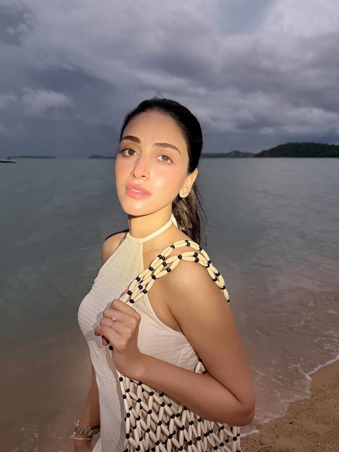 🐚