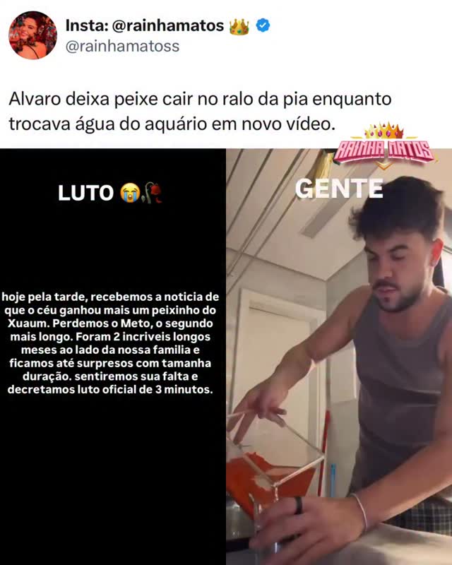 Alvaro deixa peixe cair no ralo da pia enquanto trocava água do aquário em novo vídeo. 🎥: Instagram 🏐