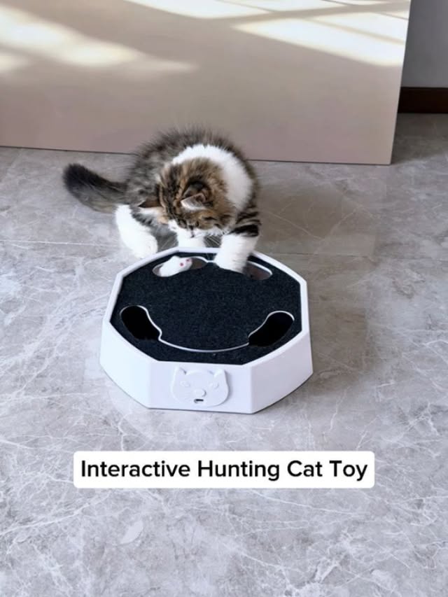 ⛓️‍💥 LINK IN BIO 👉@cutemeowingcat ⛓️‍💥Interactive Hunting Cat Toy 😻⛓️‍💥 LINK IN BIO 👉@cutemeowingcat ⛓️‍💥......Cats have a specialized collarbone that lets them always land on their feet. The free-floating clavicle combined with an extremely flexible backbone allows cats to perform a mid-air righting reflex in as little as 0.3 seconds. They twist their front body first, then their back body follows, using their tail as a counterbalance. Kittens develop this ability by 7 weeks old. Surprisingly, cats falling from higher floors often survive better than those falling from lower ones because they have more time to spread their legs like a parachute, reaching a terminal velocity of about 60 mph. by @catloversclub