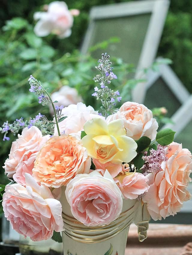 Deadheading roses and bringing a few inside. It’s 95(F) again today. It doesn’t take long for heat to get old, does it? Last pic is for my cousin. She wanted to see the top of the vase! 
I think I’ve (finally) gotten all my seeds sown but I still have a few dahlias to plant. I hope everyone has a pleasant Sunday. 
I have baby birds chirping in all the nests, I think they might be ready to fledge this week? 

#beautiful #photography #roses #flowers #happiness