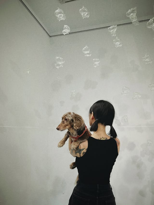 用自己的一生把我的傷痛帶走再一次還給了我 但是沒關係我的心被妳修復的比以前還更堅強了已經一年了 時間像用飛的一樣想起來還是一樣不自覺淚流滿面一切都像是刻意安排在最好的時間連最後的最後都這麼貼心送走妳的那天 園區裡有隻很撒嬌的臘腸過了三天做了一個夢夢到我和園區的臘腸很開心的在玩Bibi靜靜的在旁邊看我們 就是安靜的看著一個月後園區這隻臘腸狗被我們正式收養了就是現在的Bobo我會好好延續妳教我的愛還選在67這天也真的夠迷因了蠢蛋😭💫💞 by @sj556634