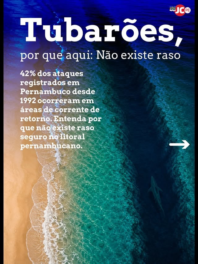 42% dos ataques registrados em Pernambuco desde 1992 ocorreram em áreas de corrente de retorno. Entenda por que não existe raso seguro no litoral pernambucano. Criação Gráfica: @thiagochargista Fonte: CEMIT
Desliza para ver cada um. 
#tubarão #Pernambuco #segurança #praias #JornaldoCommercio *cidades *carrossel
*digital