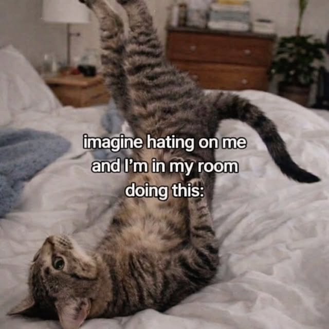 Cats can jump up to 6 times their body length in a single leap. Their powerful hind legs contain spring-loaded tendons that store elastic energy before release. A cat’s leg muscles make up roughly 20% of their total body weight. They calculate jump trajectories using their whiskers to measure gap width and their eyes to judge distance. Indoor cats who don’t jump regularly can lose this ability as their muscles atrophy. by @catloversclub